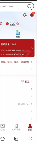 【迪拜皇宫-问卷调查彩金】
